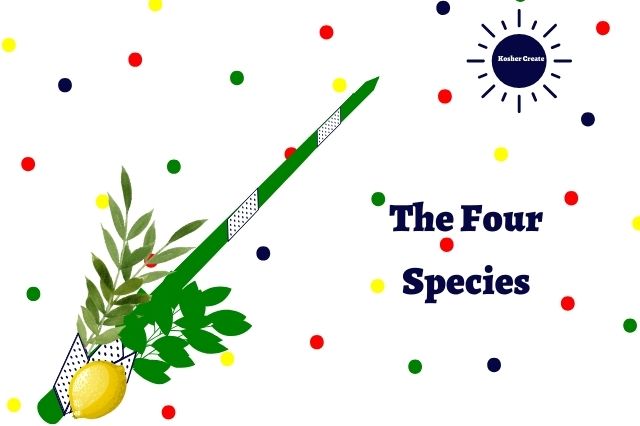 A Graphic Of Inscription The Four Species That Include The Etrog, Lulav, Haddas And Arava With A Polka Dot Background And The Kosher Create Sun Logo On The Top Right Side.