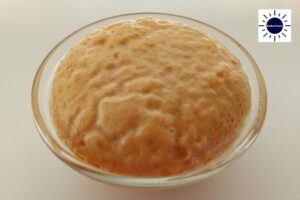 Wholegrain Spelt And Oat Challah Recipe - Yeast Rising