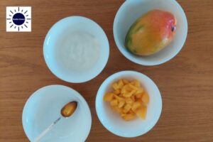 Mango Yogurt Smoothie Recipe - Ingredients