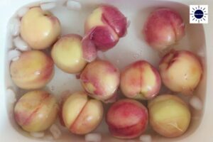 Oat Crust Peach Pie - Peaches In Ice Water