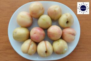 Oat Crust Peach Pie - Peeled Peaches