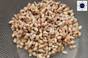 Mediterranean Arugula Barley Salad Recipe - Cooked Barley