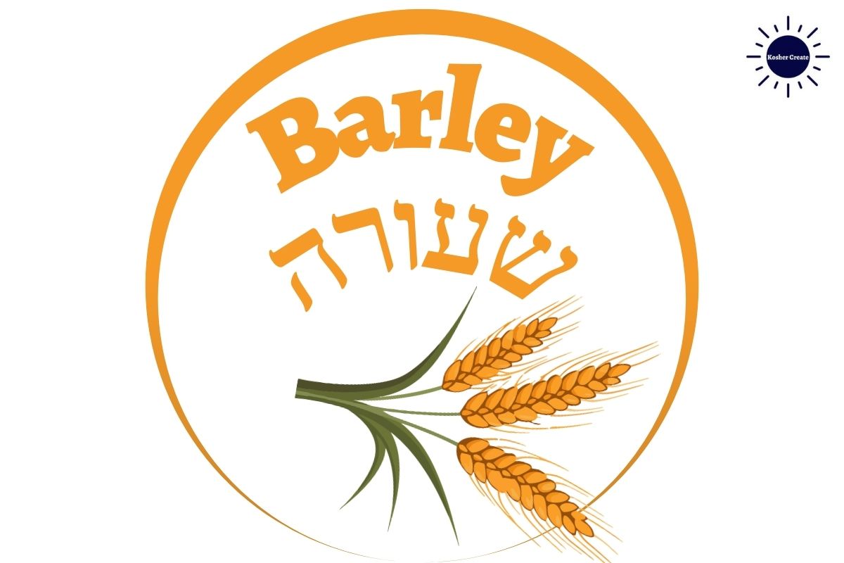 The 7 Species: Barley