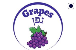 The Tile Grapes Written In English And Hebrew With A Graphic Cluster Of Grapes Below Within A Decorative Semicircle And With The Kosher Create Sun Logo On The Upper Right Side.