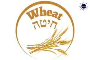 The Tile Wheat Written In English And Hebrew With A Graphic Bunch Of Wheat Below Within A Decorative Semicircle And With The Kosher Create Sun Logo On The Upper Right Side.