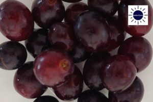 Lettuce, Apple & Grape Salad Recipe - Washed Whole Grapes