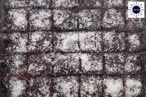 Glazed Wholegrain Coconut Brownies Recipe - Cut Cubes