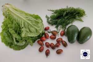 Mediterranean Lettuce Avocado Salad Recipe -Salad Ingredients