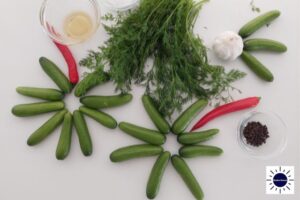 Mini Dill Pickles Recipe - Ingredients