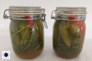 Mini Dill Pickles Recipe - Pickles Ready In Jar