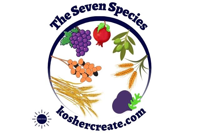 The Title The Seven Species With A Decorative Semicircle Underneath With Graphics Of The Seven Species That Include Wheat, Barley, Grapes, Figs, Pomegranate, Olives, Dates And Two Etrog Hanging In The Middle And The Inscription Koshercreate.com On The Bottom With The Kosher Create Sun Logo.