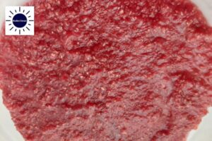 A Closeup Of The Strawberry Filling With The Kosher Create Sun Logo In The Upper Left Corner..