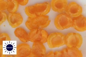 A Closeup Of The Fresh Apricots With Their Pits Removed And With The Kosher Create Sun Logo In The Left Lower Corner.
