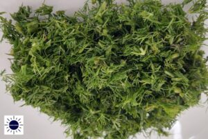 A Closeup Of Diced Dill With The Kosher Create Sun logo In The Lower Left Corner.
