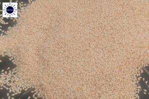 A Closeup Of Golden Toasted Sesame Seeds In A Frying Pan With The Kosher Create Sun Logo In The Upper Left Corner.